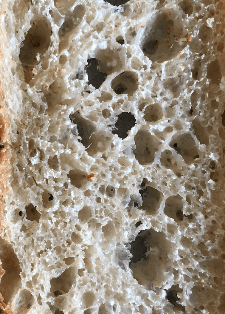 Identifying Flour Vs White Mold On Bread Tips For Keeping Your
