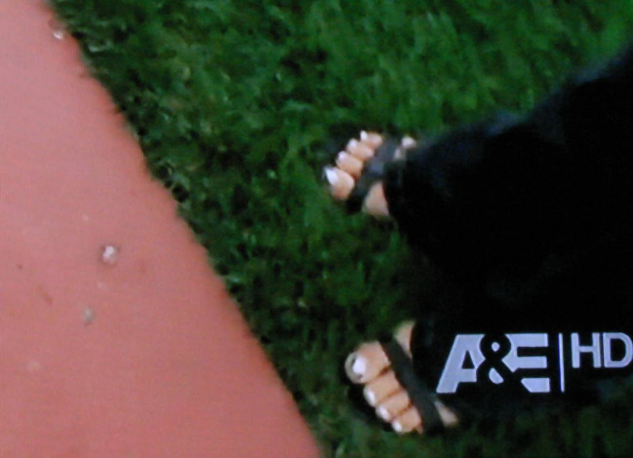 Lyssa Chapman's Feet
