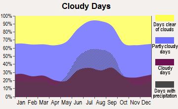 Immokalee, Florida (FL 34120, 34142) profile: population, maps, real