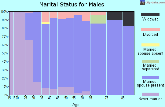 62629 Zip Code (Chatham, Illinois) Profile homes, apartments, schools, population,