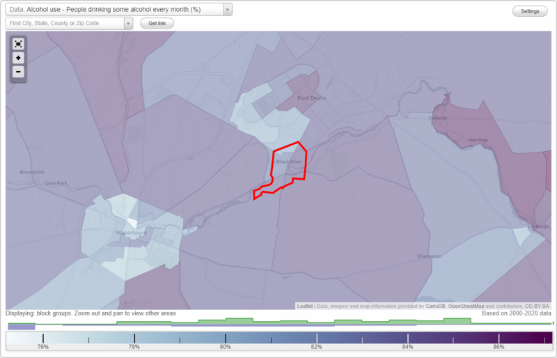 Health and Nutrition of Black River, NY Residents Sexual Behavior