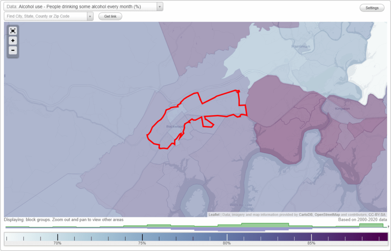 Health and Nutrition of Rockwood, TN Residents Sexual Behavior