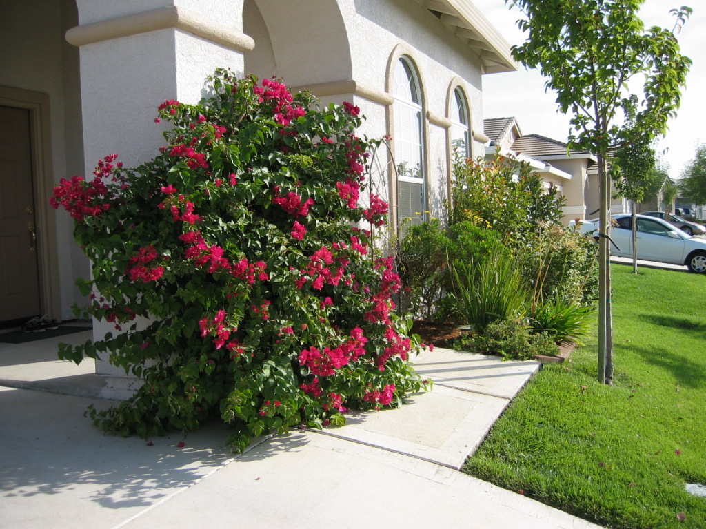 West Sacramento, CA beautiful house at W.sacramento photo, picture