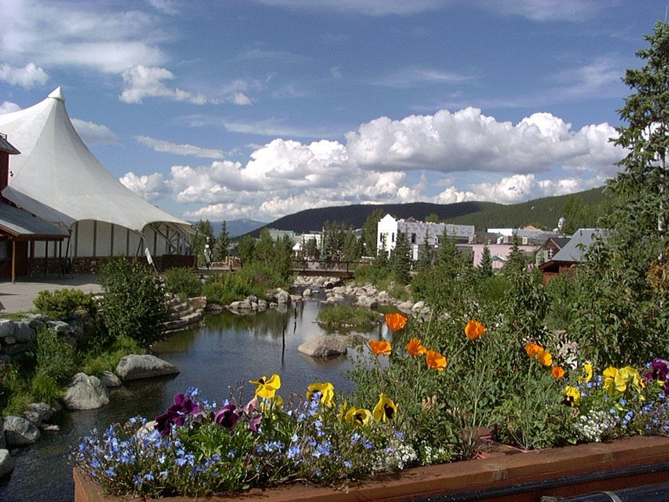 Breckenridge, CO Breckenridge, CO, Summer 2005, high in the Rocky