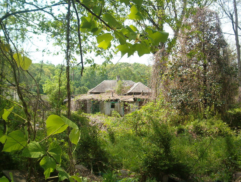 Atlanta, GA Abandoned House in Urban Atlanta