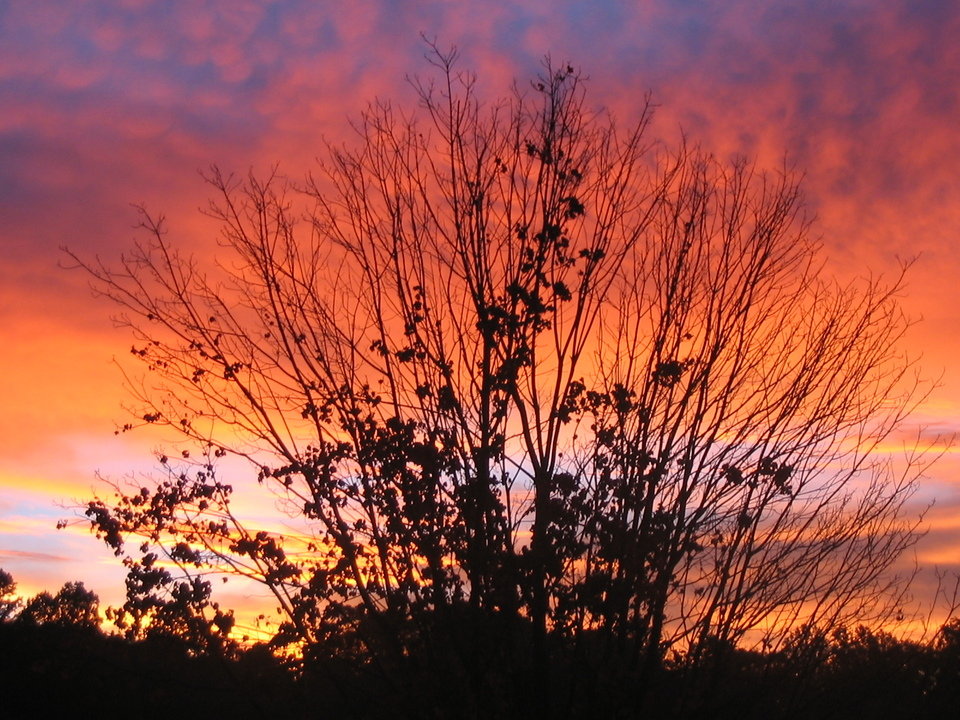 Burke, VA Lake Braddock Sunrise(2) photo, picture, image (Virginia