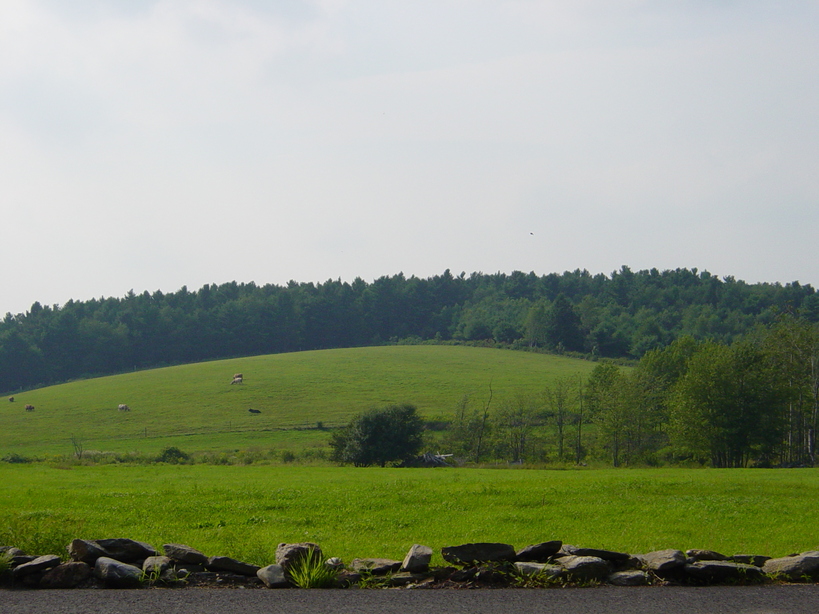 Rutland, MA Field on Glenwood Road photo, picture, image
