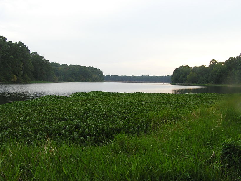 Huntsville, TX Lake Raven at Huntsville State Park photo, picture