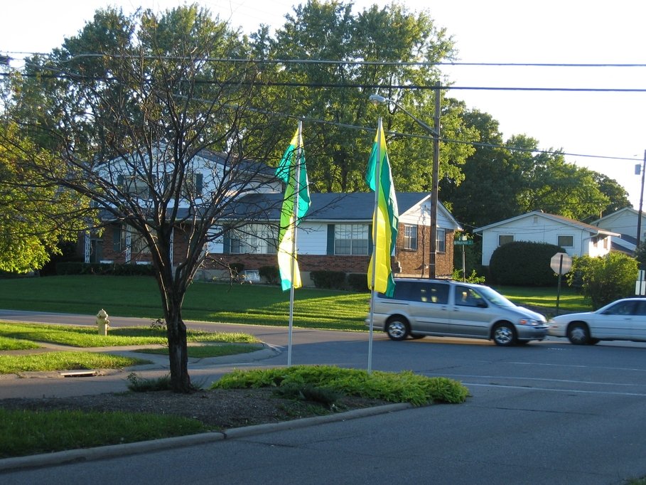 Forest Park, OH Forest Park in Fall photo, picture, image (Ohio) at