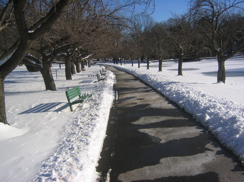 West New York, NJ North Bergen.park photo, picture, image (New