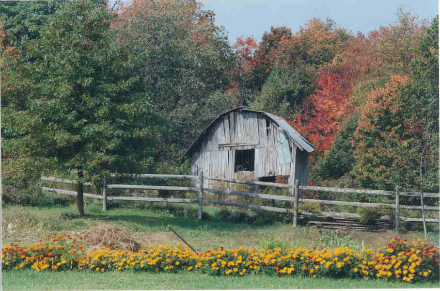 Richwood, WV Up on Hinkle Mt. Richwood WV photo, picture, image (West