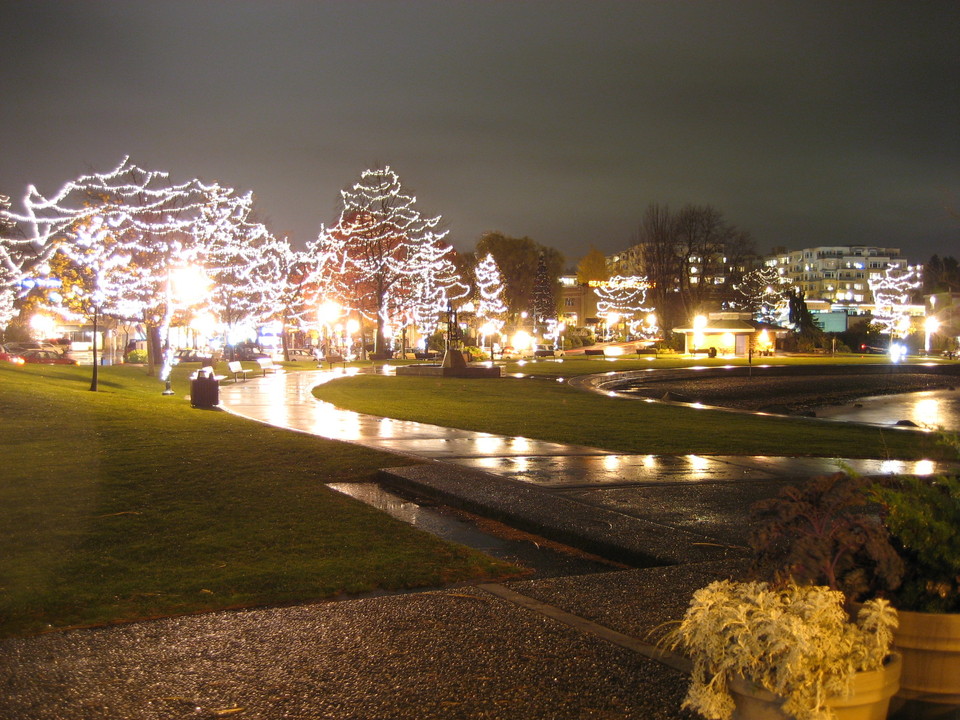 Kirkland, WA Night Shot At Kirkland Park photo, picture, image