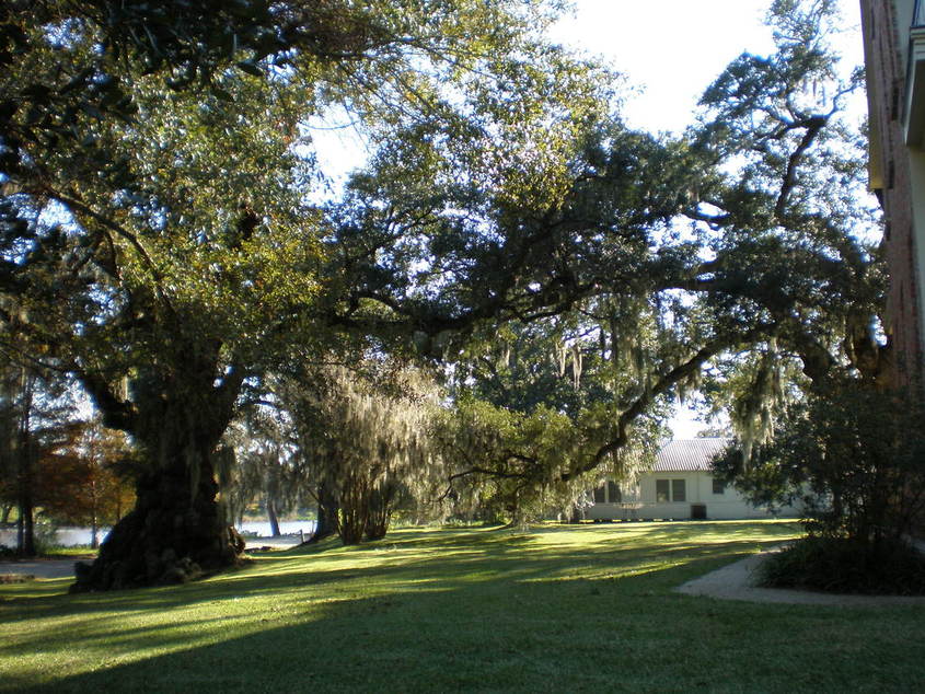 St. Martinville, LA Bayou Teche photo, picture, image (Louisiana) at