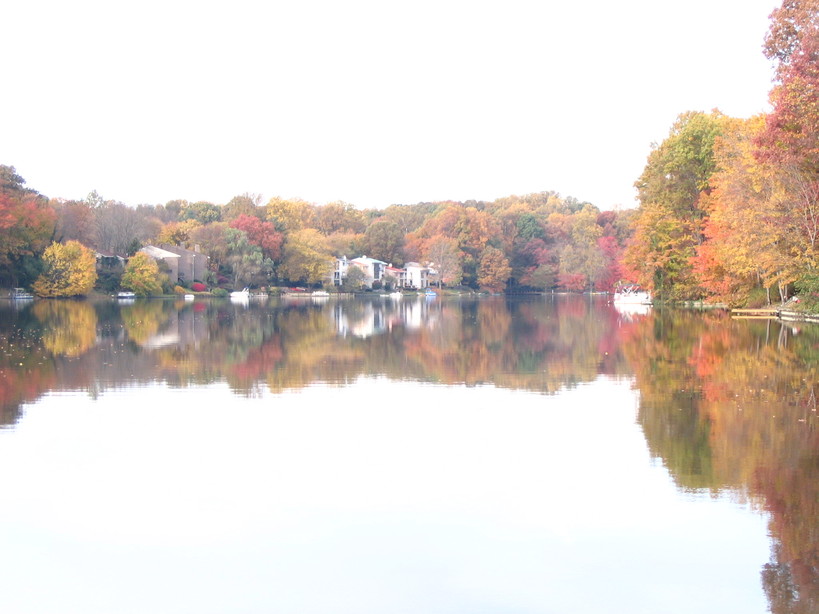 Reston, VA Lake Anne, Reston VA photo, picture, image (Virginia) at