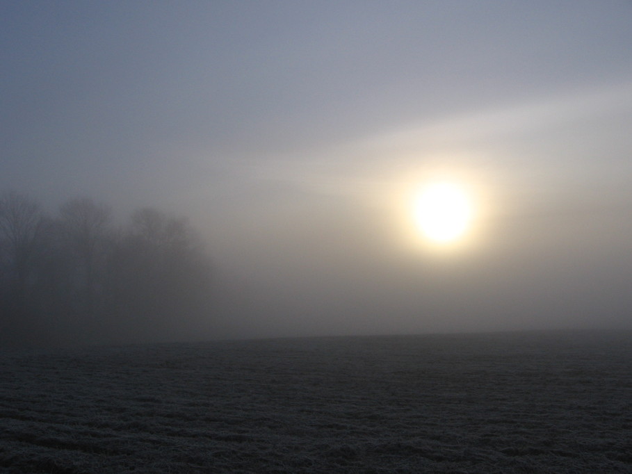 Kelso, MO Kelso Farmland photo, picture, image (Missouri) at city