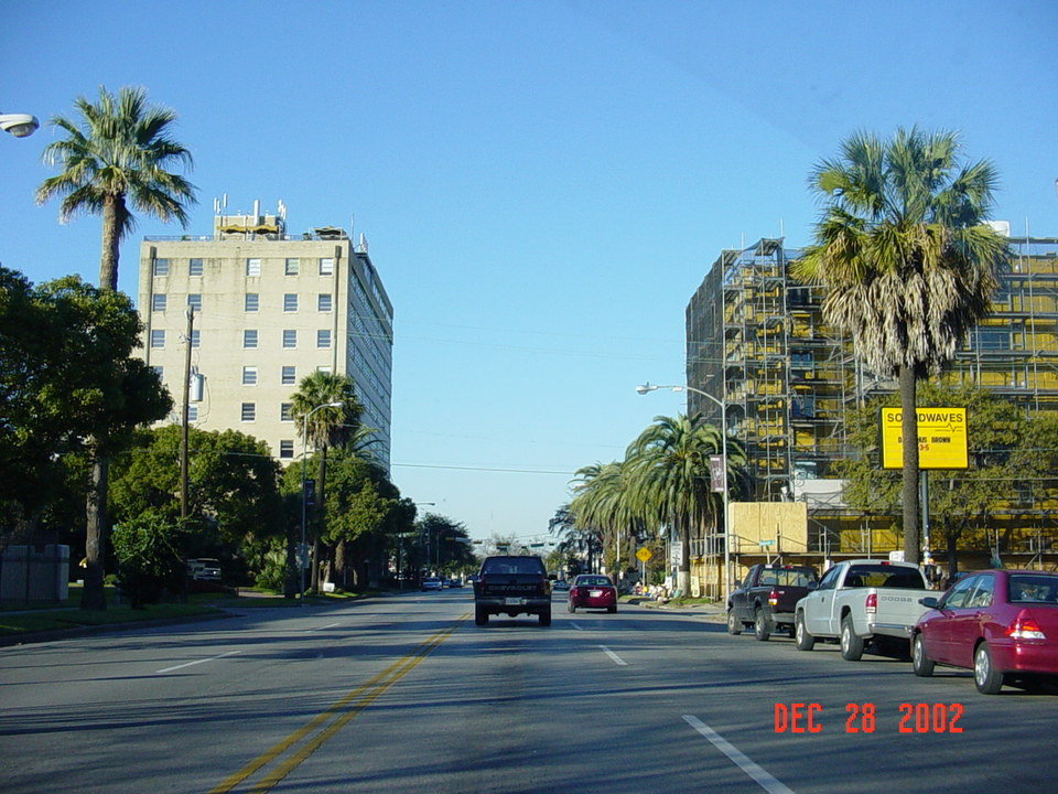 Houston, TX Montrose Area photo, picture, image (Texas