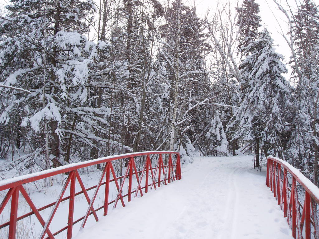 Wadena, MN Snow in March 2007 photo, picture, image (Minnesota) at