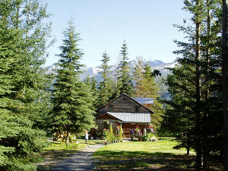 Kenny Lake, AK Fine July Evening photo, picture, image (Alaska) at