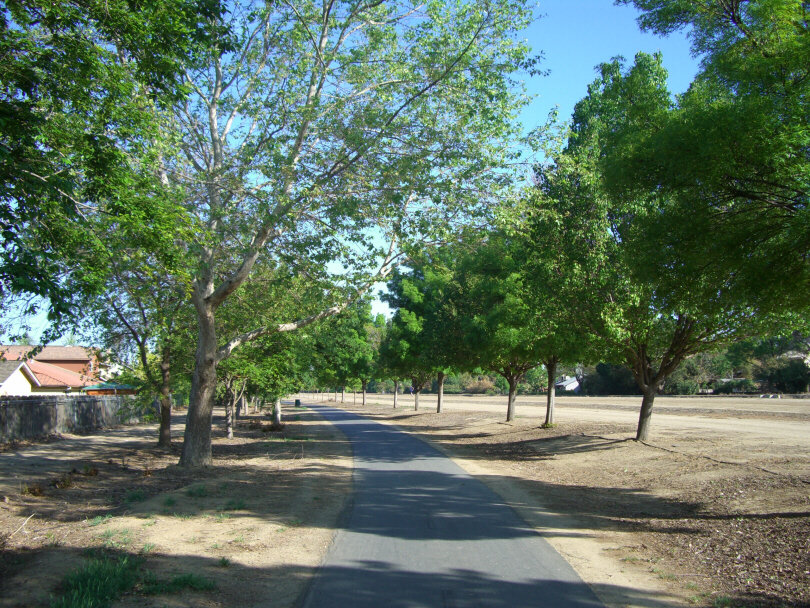 Los Banos, CA Path on canal between Pioneer and Center March 2007