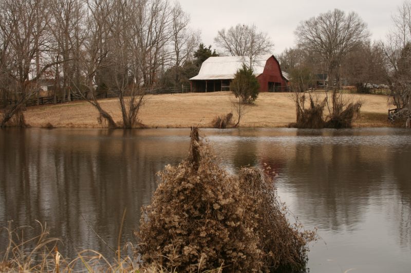 Enville, TN Winter day in Enville photo, picture, image (Tennessee