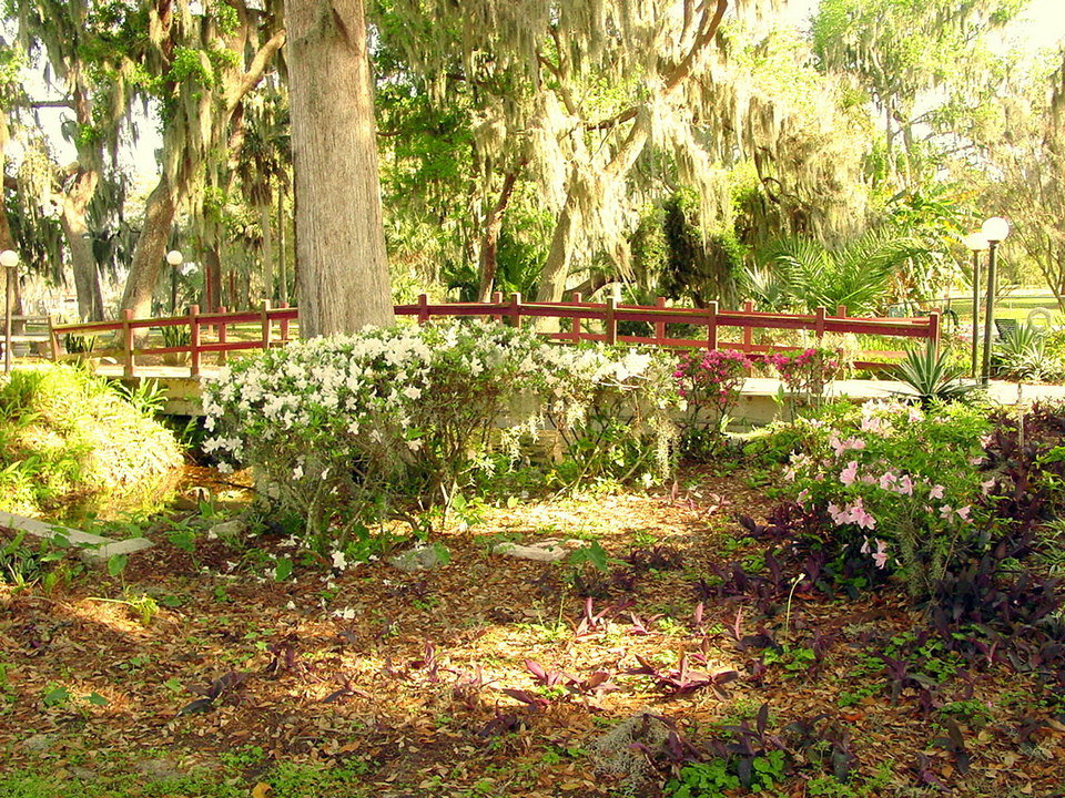 Yalaha, FL Small bridge in the "Springs Bath & Yacht Club" on Big Lake Harris photo, picture