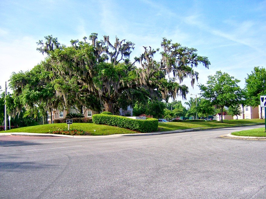 Florida Jobs Ocala Florida Jobs