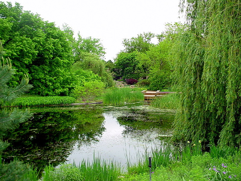 Wichita, KS Botanical Garden photo, picture, image (Kansas) at city