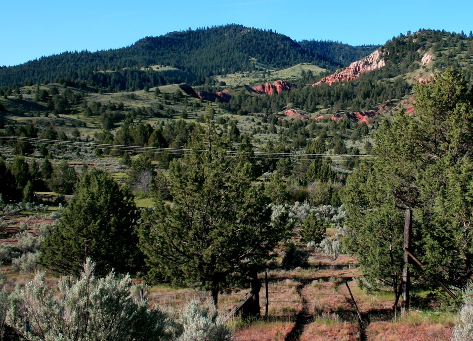 Long Creek, OR Ranch land off of Hwy 204 west of LC..... photo, picture, image (Oregon) at