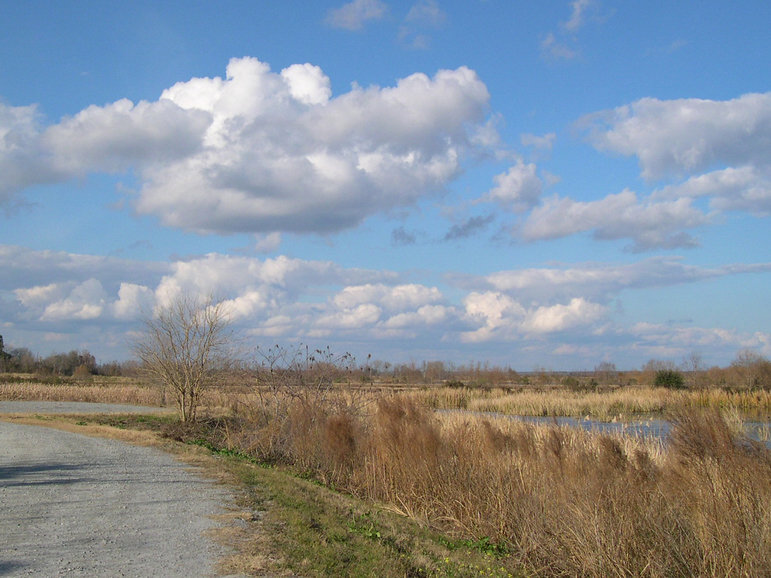 Port Wentworth, GA National Wildlife Refuge photo, picture, image