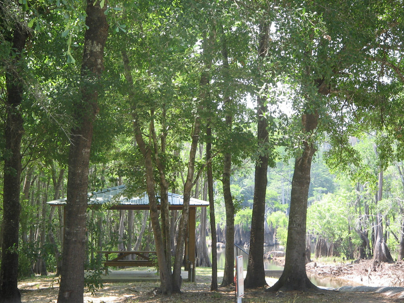 Wewahitchka, FL Dead Lakes in Wewahitchka photo, picture, image