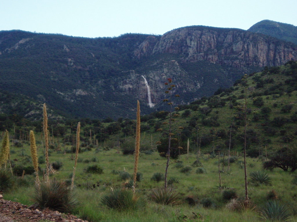 Sierra Vista Southeast, AZ Carr Canyon Waterfall photo, picture
