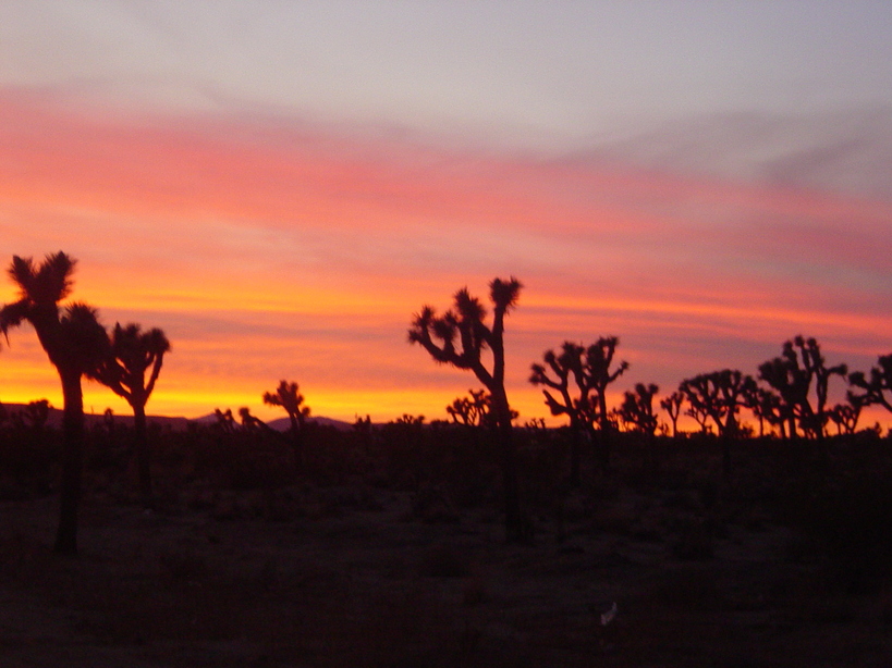 Yucca Valley, CA Yucca Valley at Sunset photo, picture, image