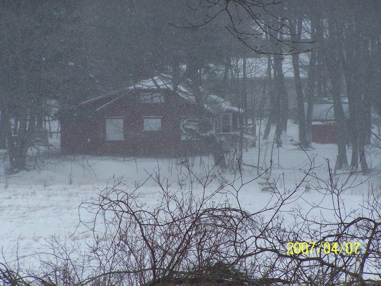 Manistee, MI Lake Bluff Michigan Audubon Society Manistee