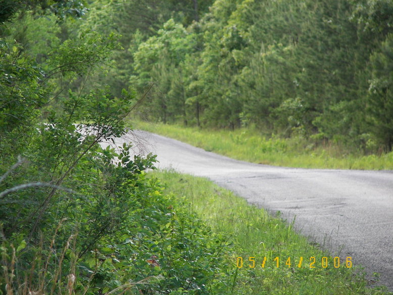 Selmer, TN Warren Floyd Road photo, picture, image (Tennessee) at