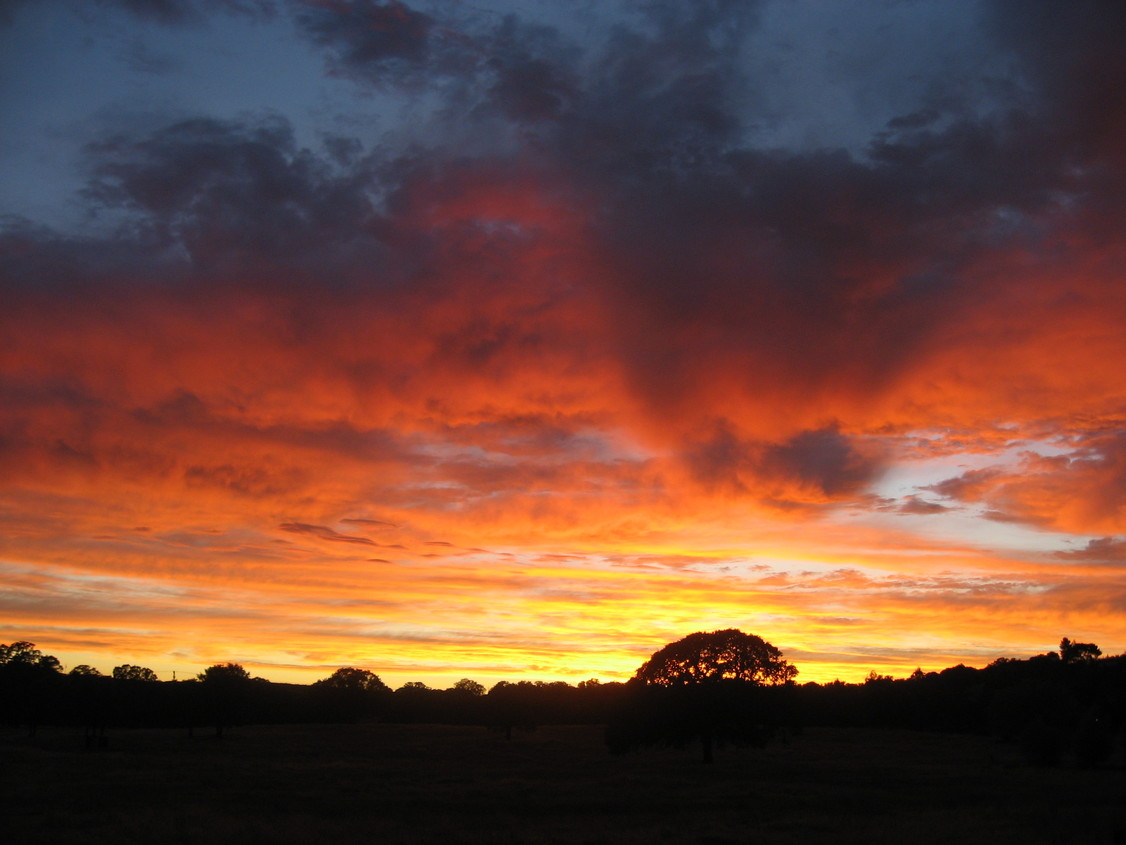 Valley Springs, CA Beautiful Summer Sunset photo, picture, image