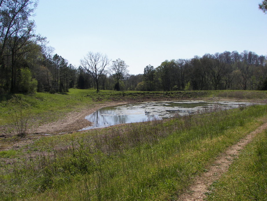 Elkmont, AL Beautiful spring fed pond photo, picture, image (Alabama