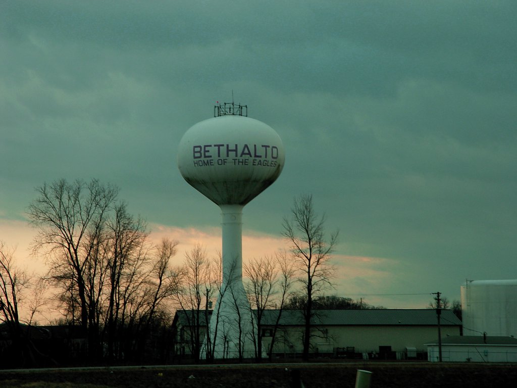Bethalto, IL I didn't see any eagles... just scads of starlings