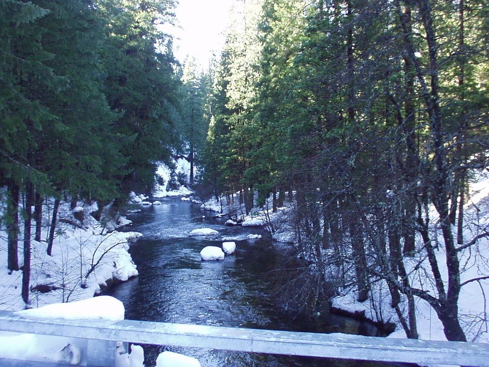 Tahoe Vista, CA View of Creek in Tahoe Vista, CA photo, picture