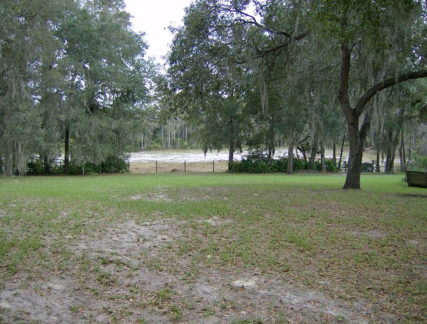 Hawthorne, FL In the middle of "nowhere Hawthorne" photo, picture, image (Florida) at city