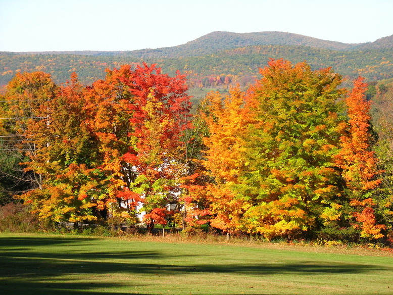 Kerhonkson, NY Fall Foliage from Gelles Drive photo, picture, image (New York) at