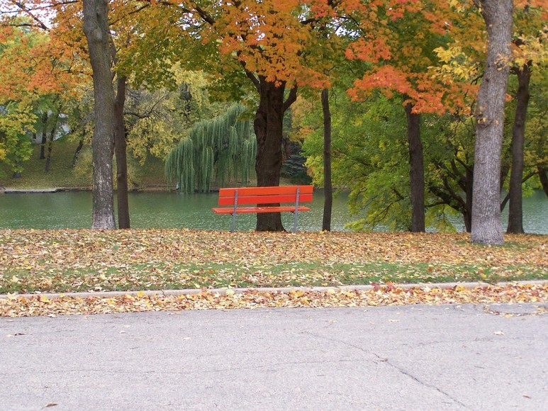 Fairmont, MN Fall Lincoln Park Fairmont, MN photo, picture, image