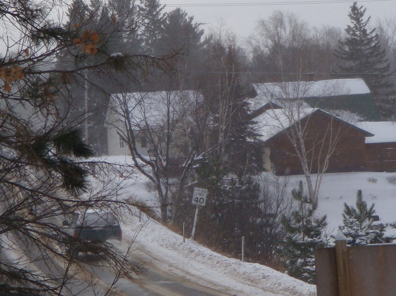 Phelps, WI Wintery day looking towards North Twin Lake photo, picture