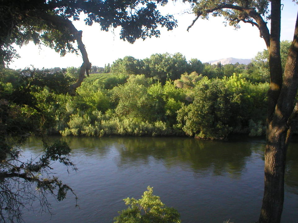 Reedley, CA Kings River photo, picture, image (California) at city