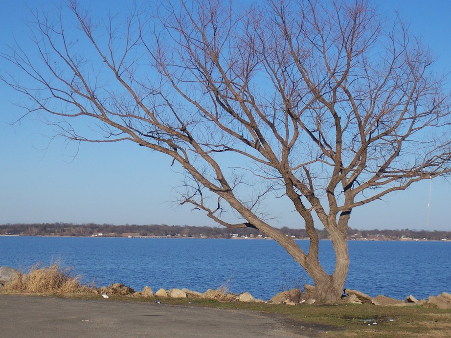 West Tawakoni, TX Tawakoni Lake photo, picture, image (Texas) at city