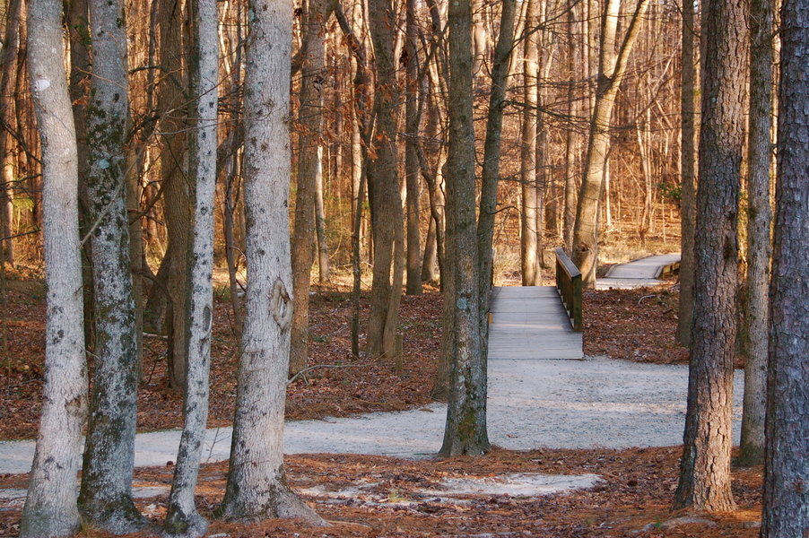 Garner, NC Lake Benson Park garner, NC photo, picture, image (North