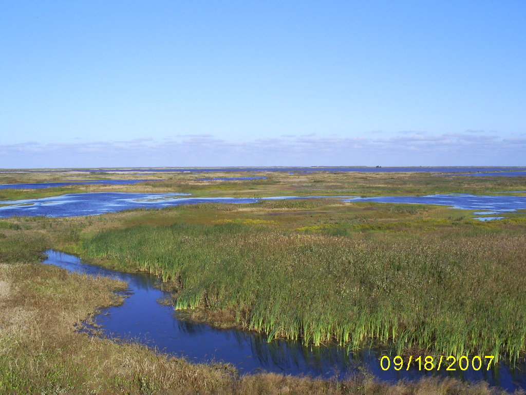 Absecon, NJ Edwin B. Forsythe National Wildlife Refuge photo, picture