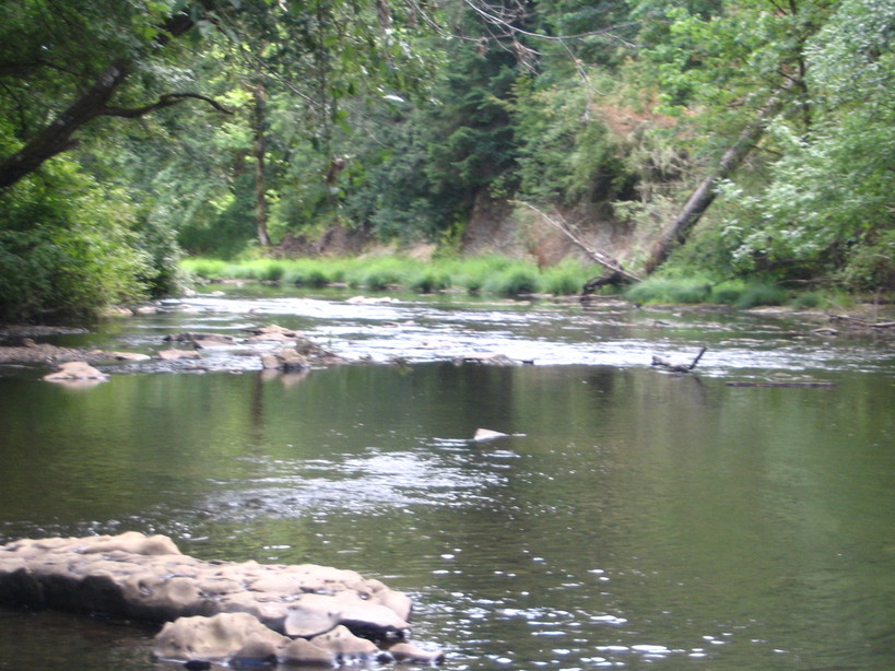 Vernonia, OR The Nehalem River photo, picture, image (Oregon) at city