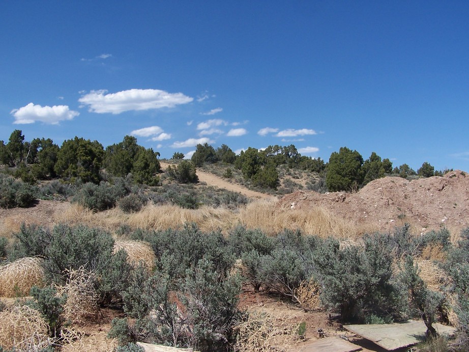 Ely, NV Driving into Ely photo, picture, image (Nevada) at