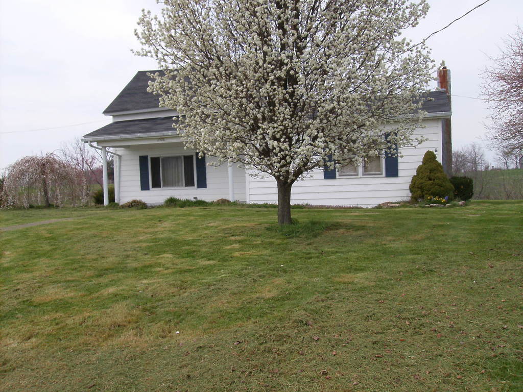 Brooksville, KY My Old Kentucky Home, Brooksville photo, picture