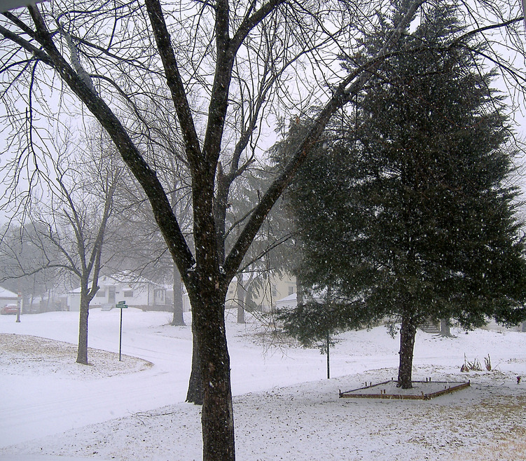 Country Club Hills, MO Beautiful Snowy Day In Country Club Hills